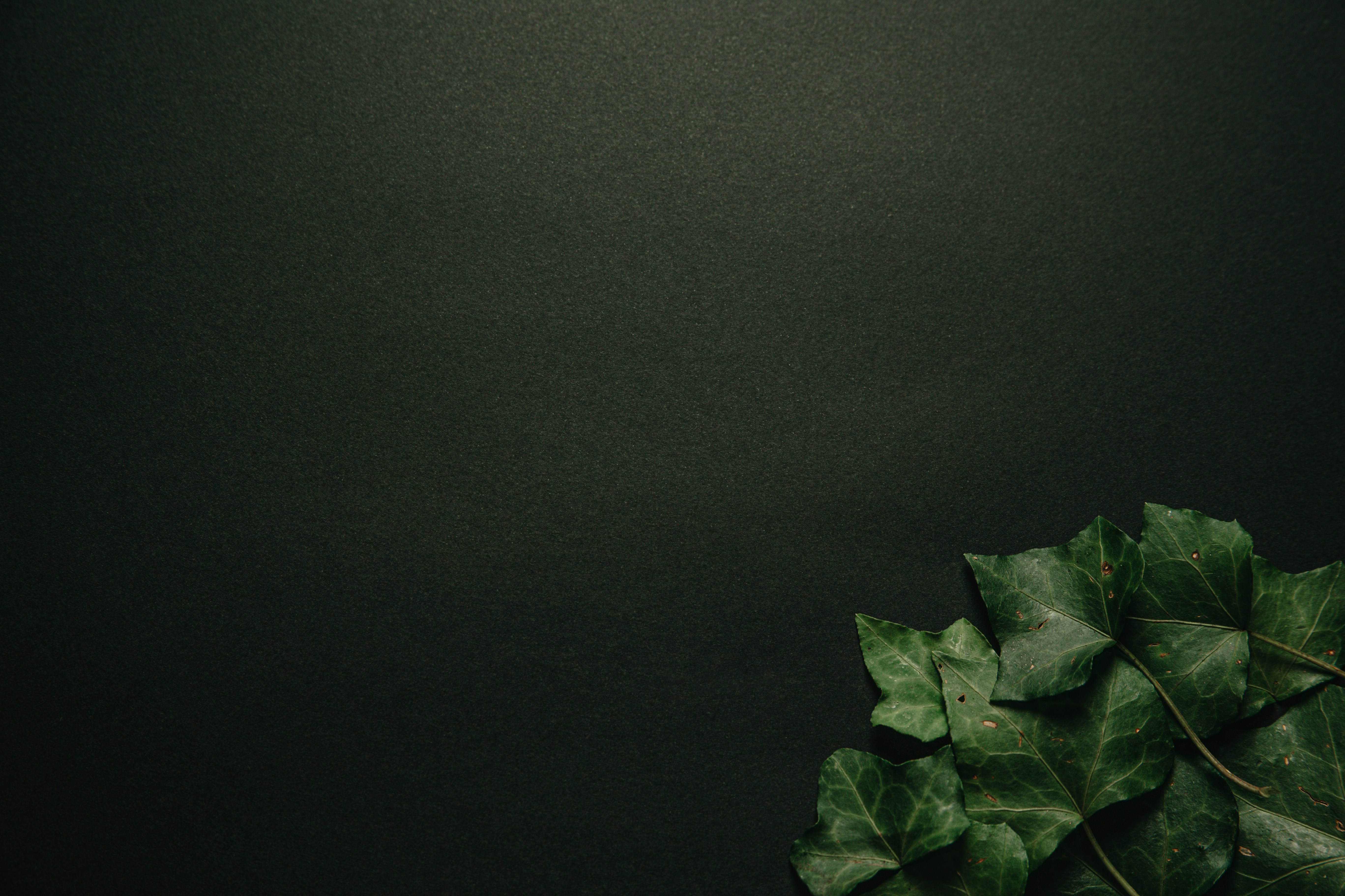 Frequently Asked Questions
